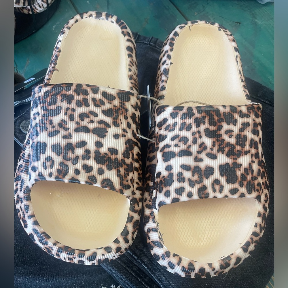 Leopard cloud slides